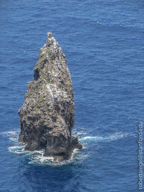 Motu Kau Kau